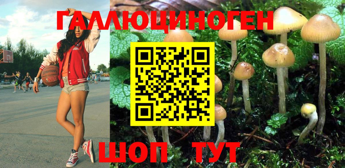 Нягань  Галлюциногенные грибы MAGIC MUSHROOMS  Псилоцибиновые грибы Cubensis  цены   Вход с VPN 