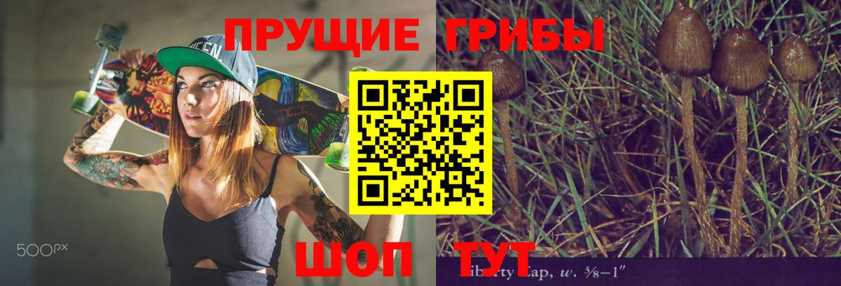 Псилоцибиновые грибы Psilocybe Нягань
